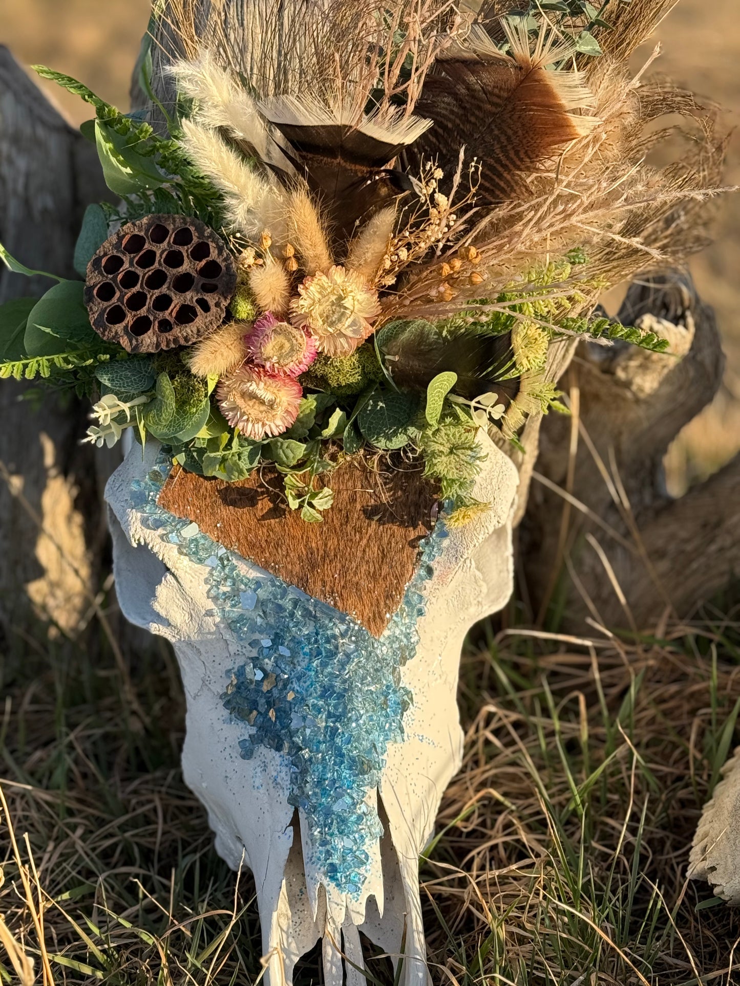Thelma Cow Skull