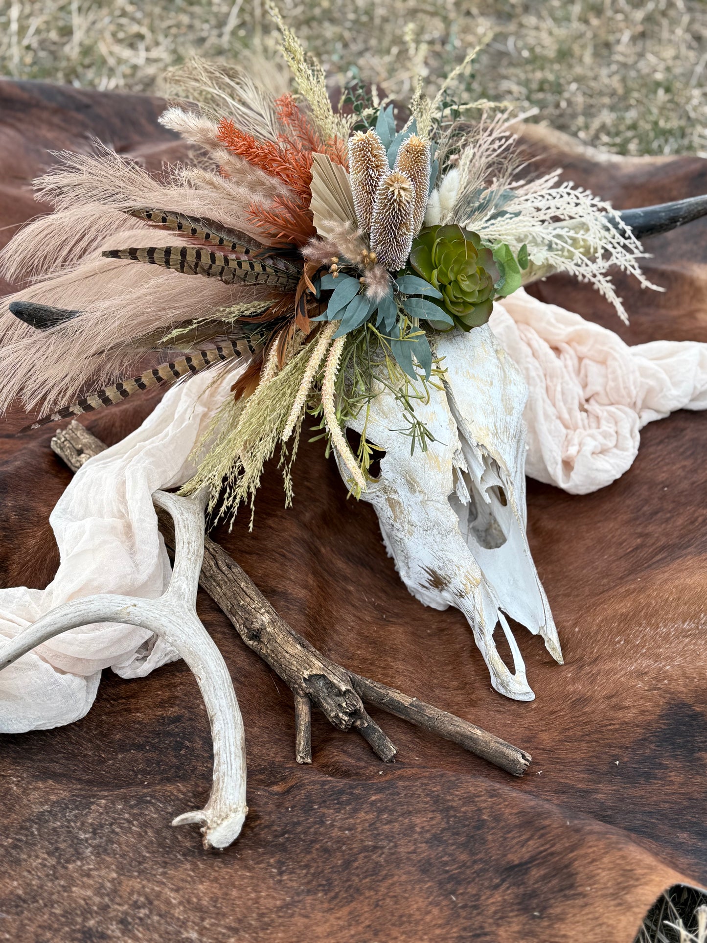 Wild Thing Cow Skull
