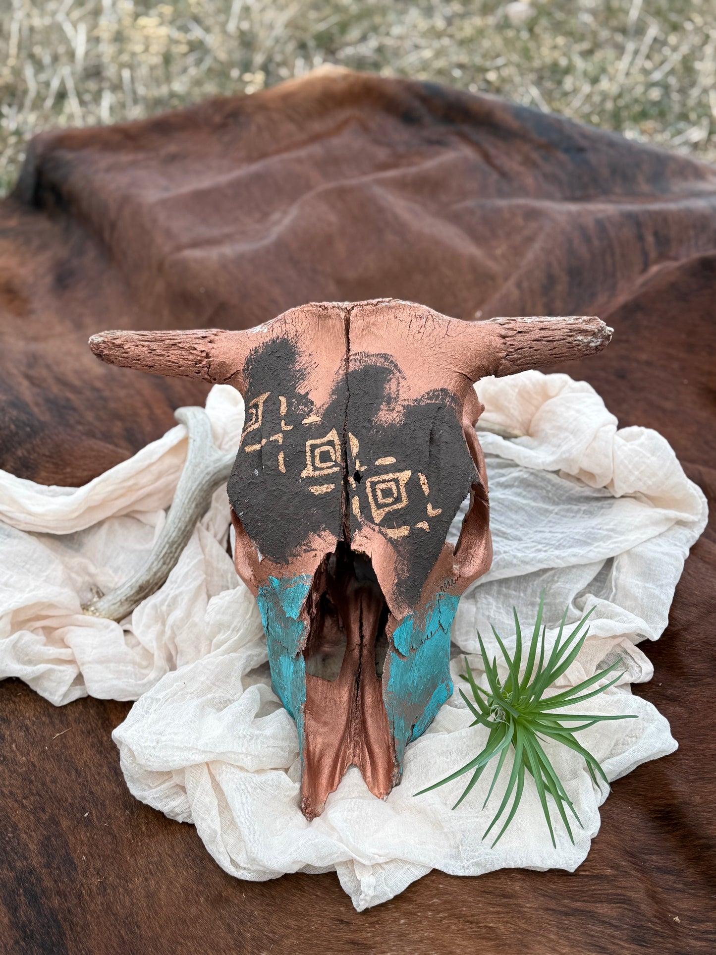 Bronze Cow Skull