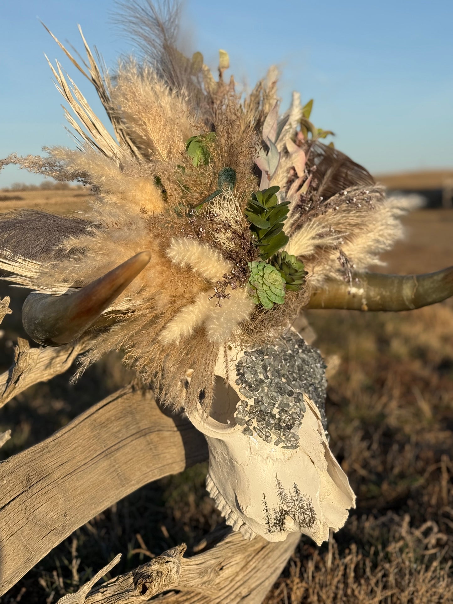 Boho Cow Skull