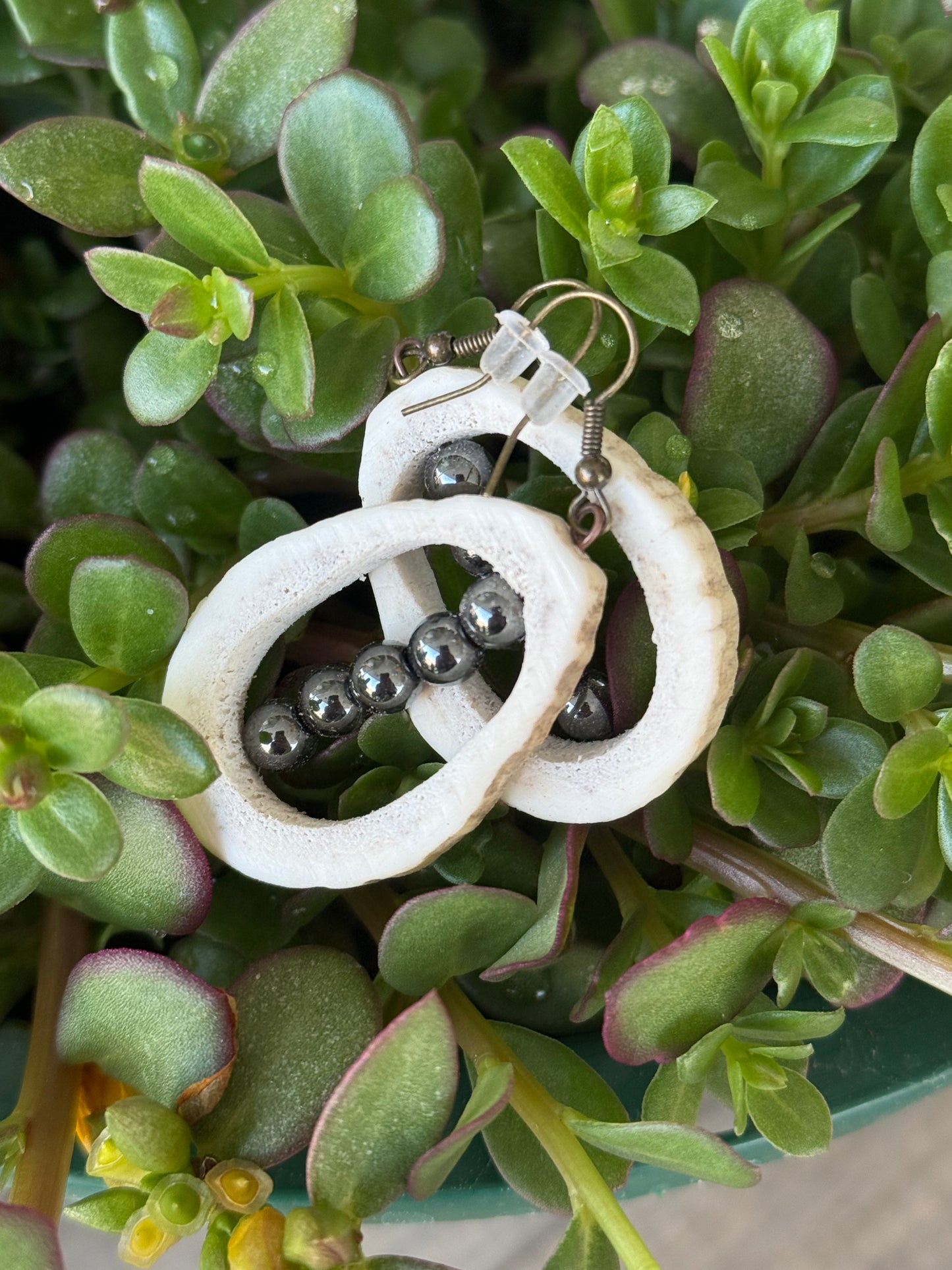 Black elk horn earrings