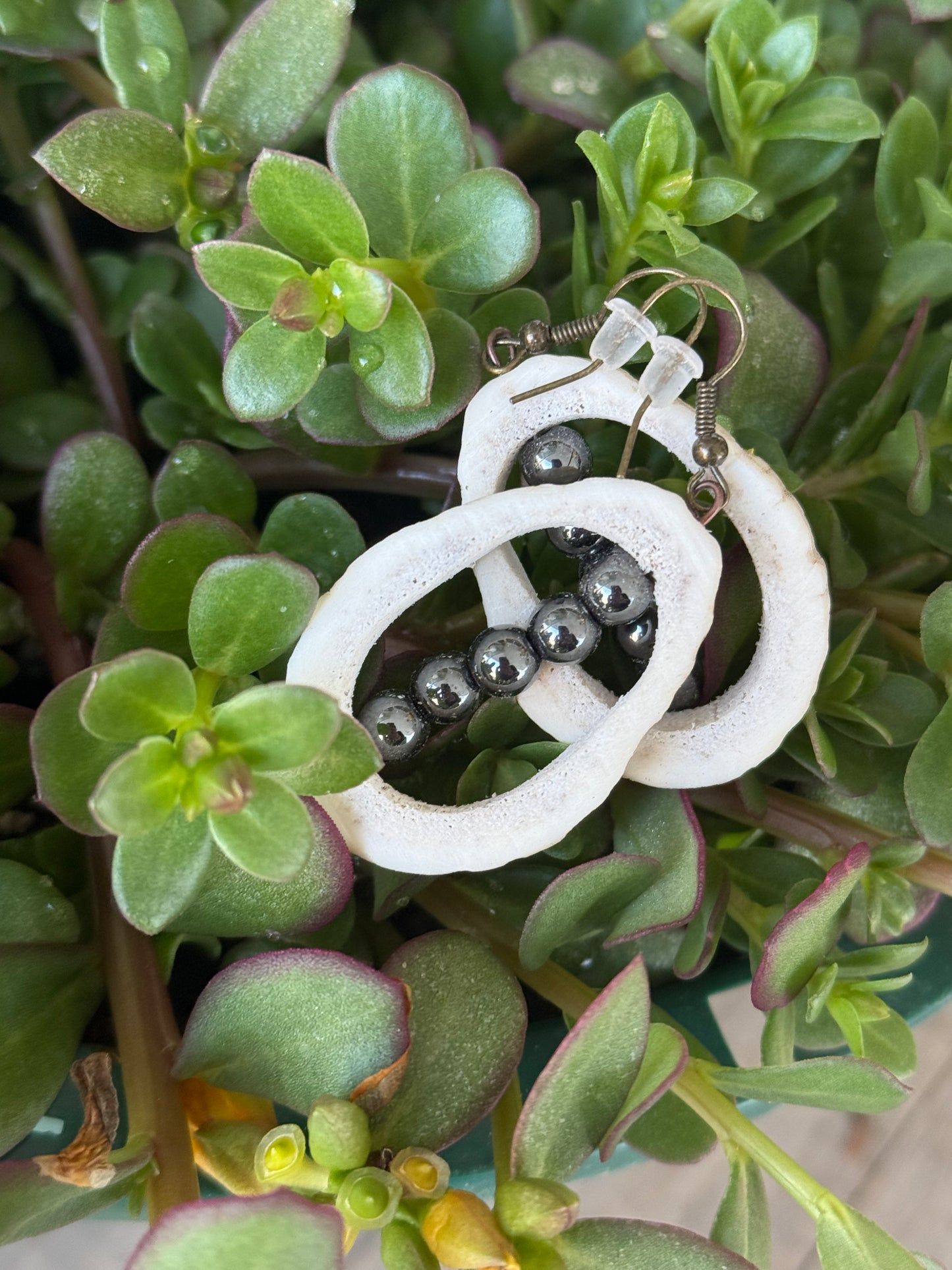 Black elk horn earrings