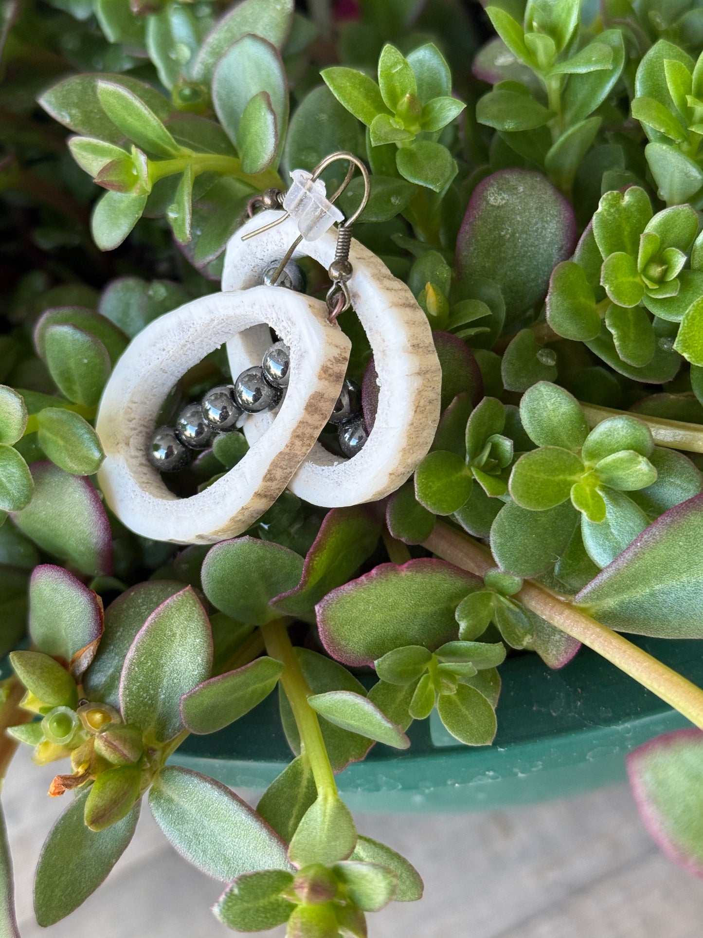 Black elk horn earrings