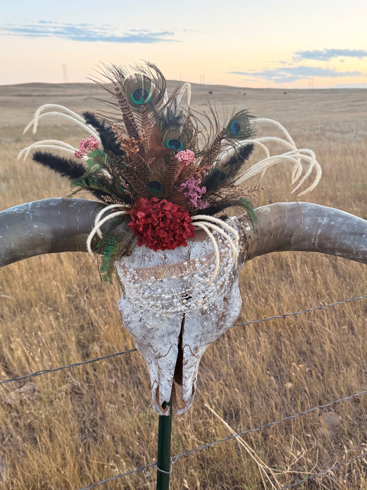 Decorated Longhorn Skull Wall Decor | Peacock Feather Cow Skull | Western Boho Wall Art | Rustic Ranch Decor | One of a Kind Skull