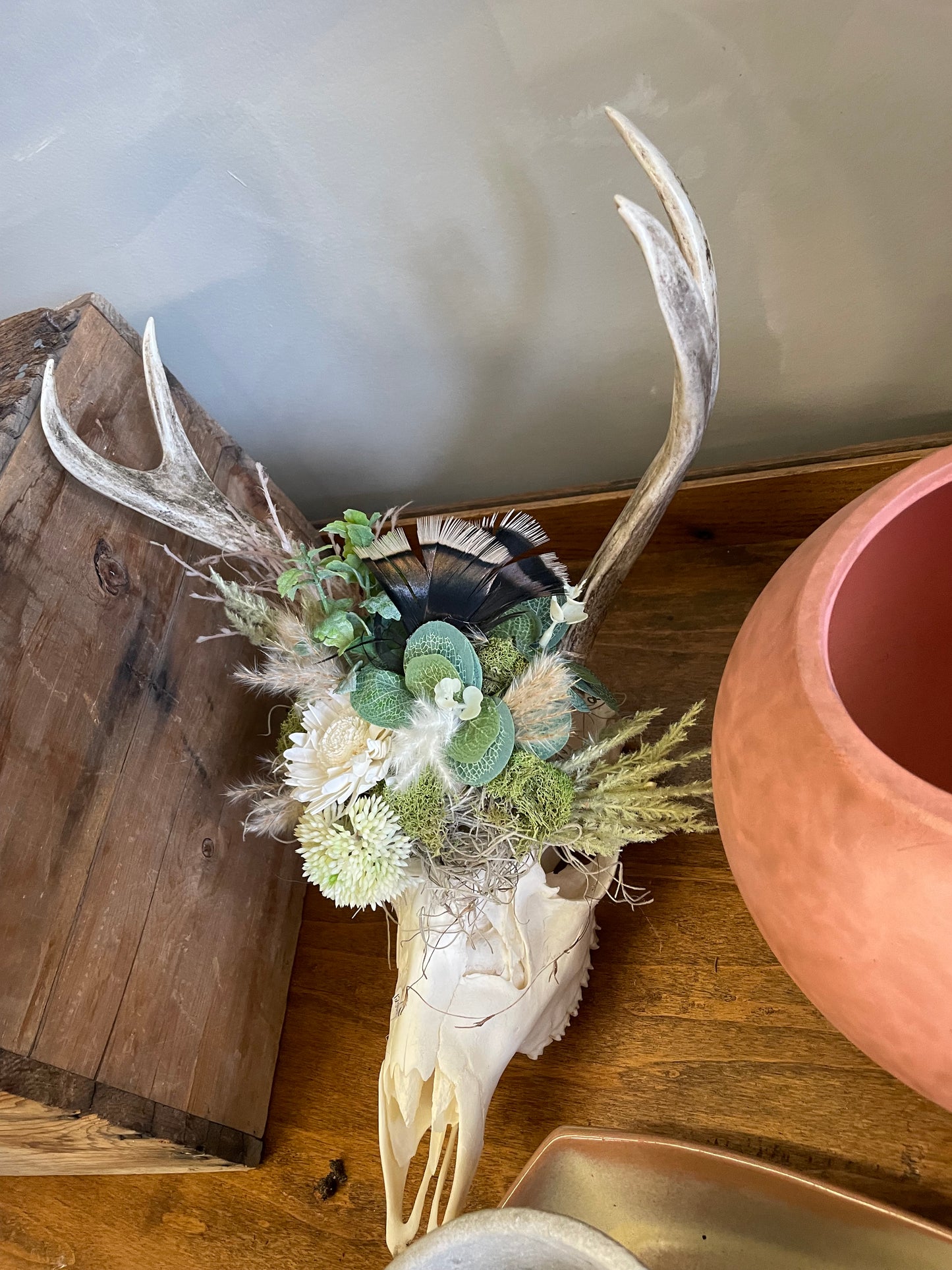 Little Buck Deer Skull