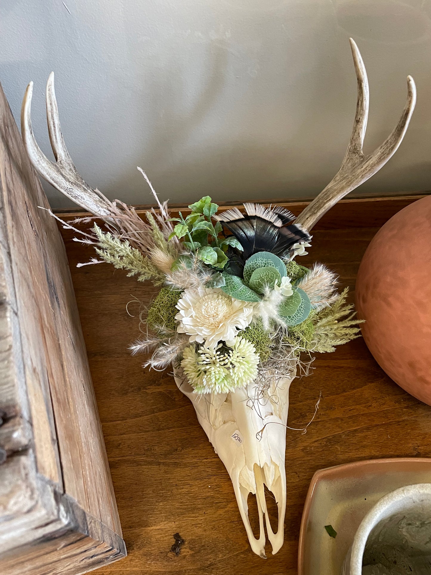 Little Buck Deer Skull