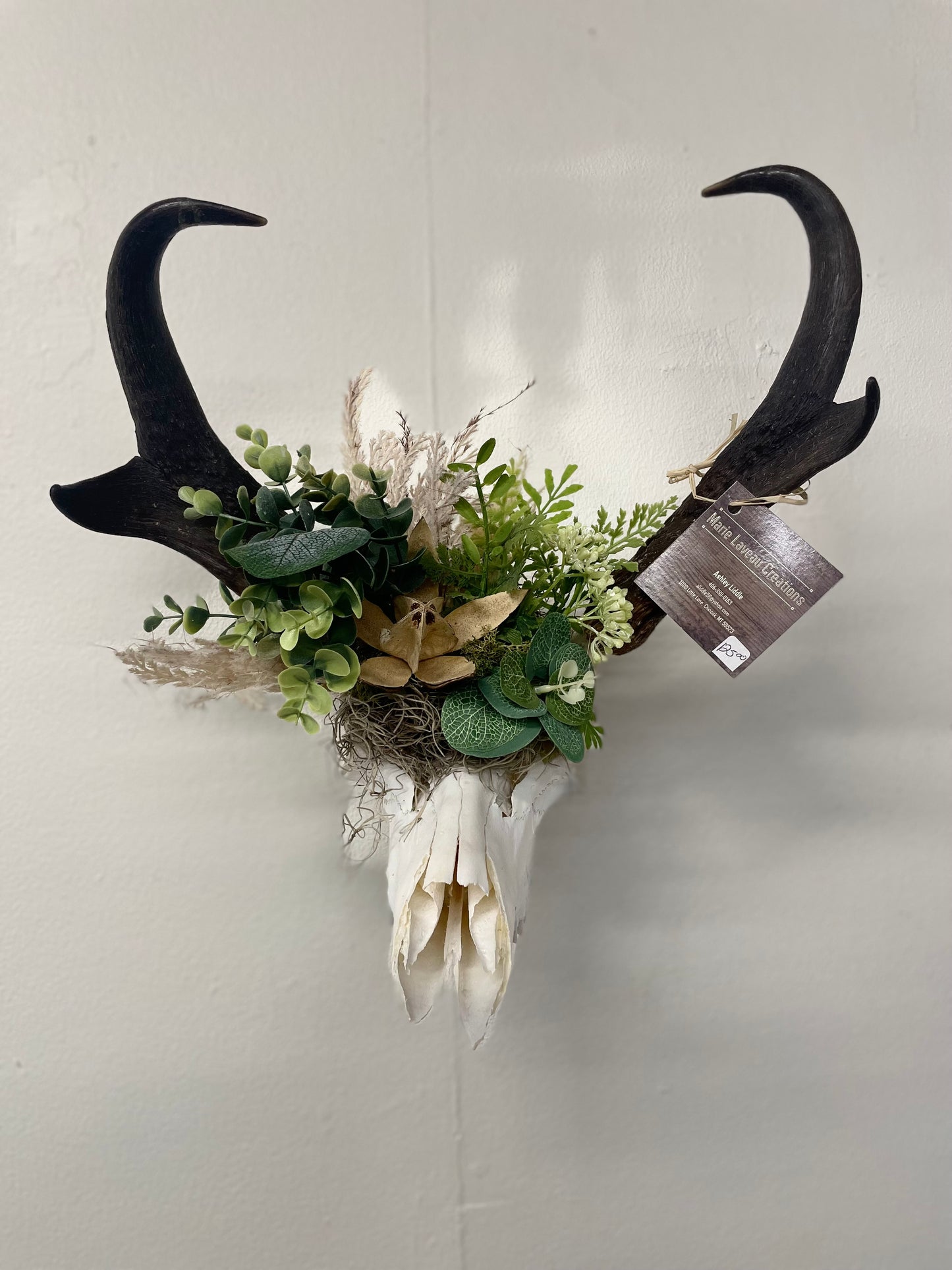 Authentic Antelope