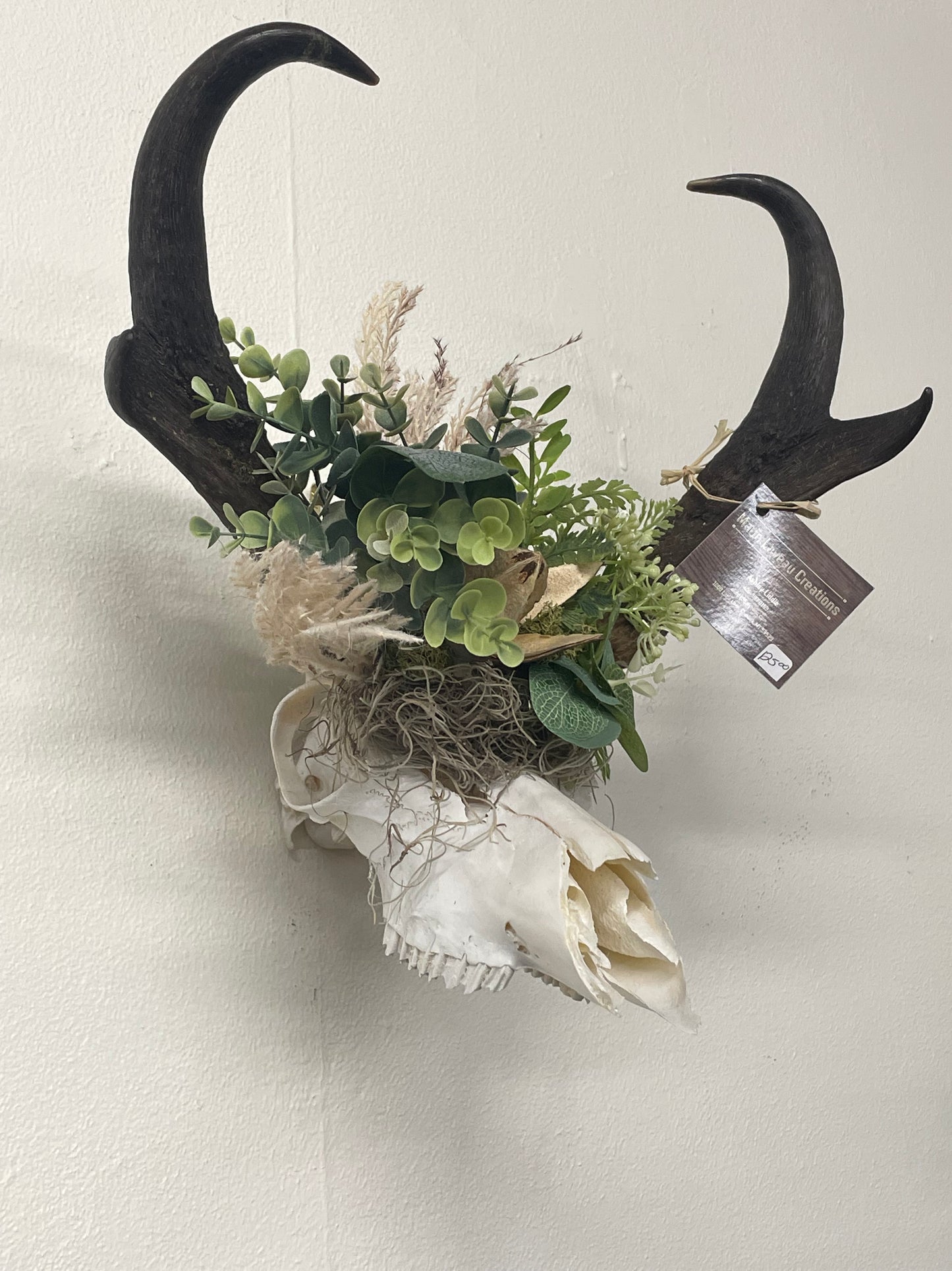 Authentic Antelope