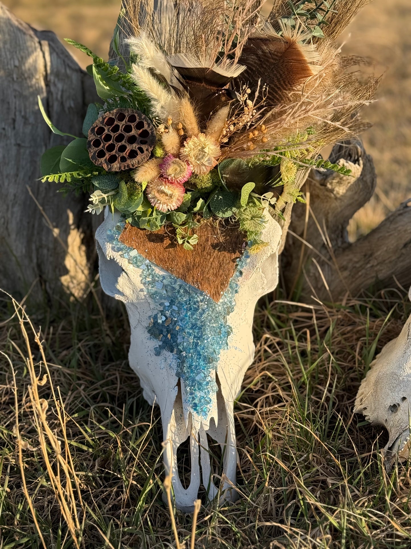 Thelma Cow Skull