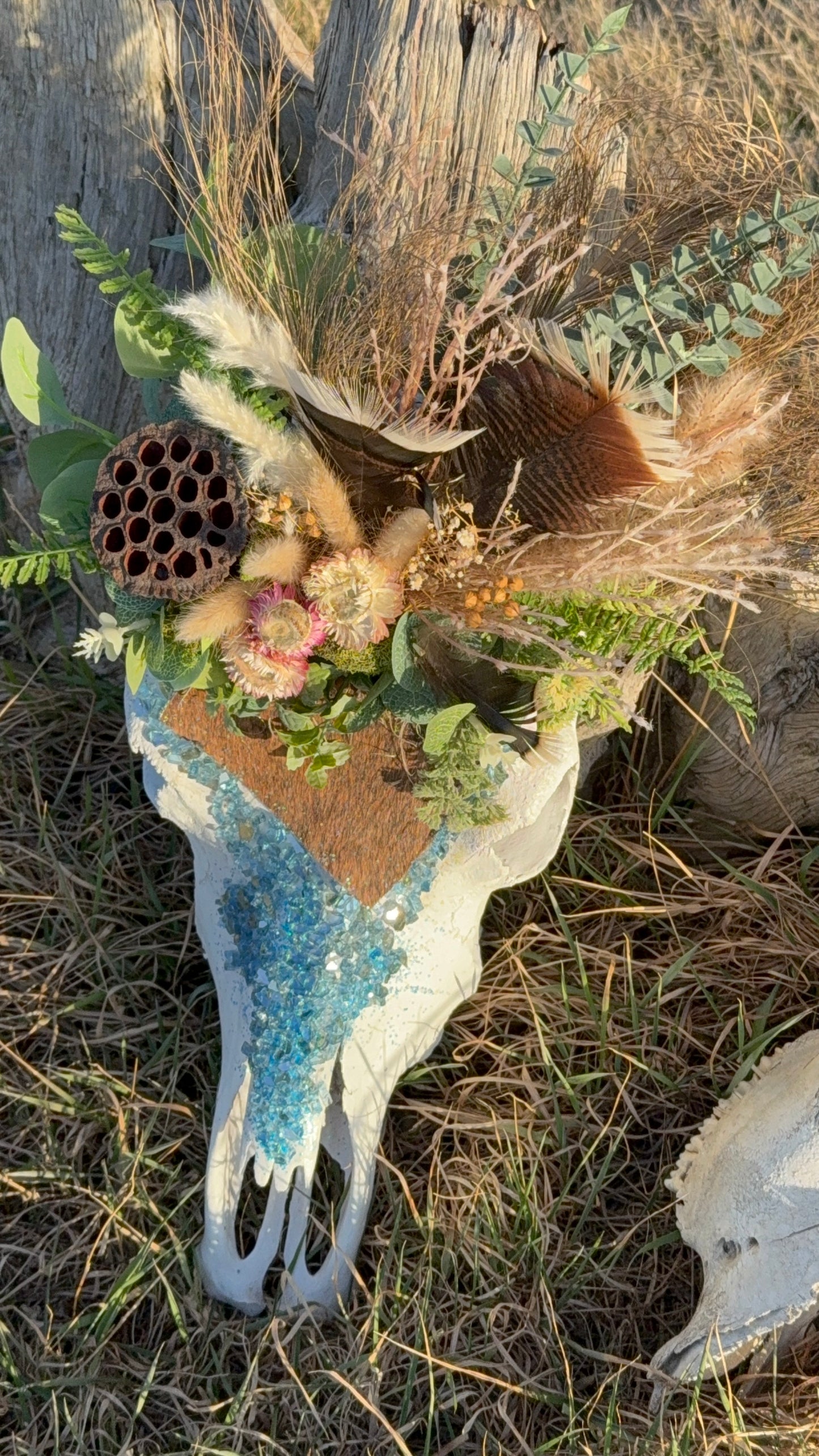 Thelma Cow Skull