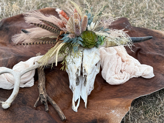 Wild Thing Cow Skull