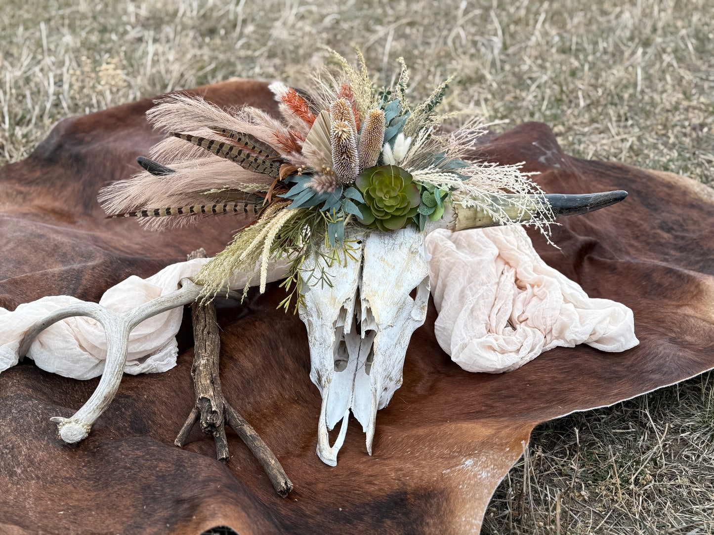 Wild Thing Cow Skull