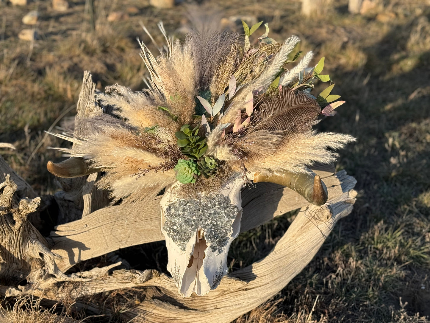 Boho Cow Skull