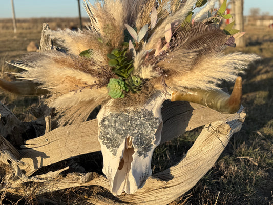Boho Cow Skull