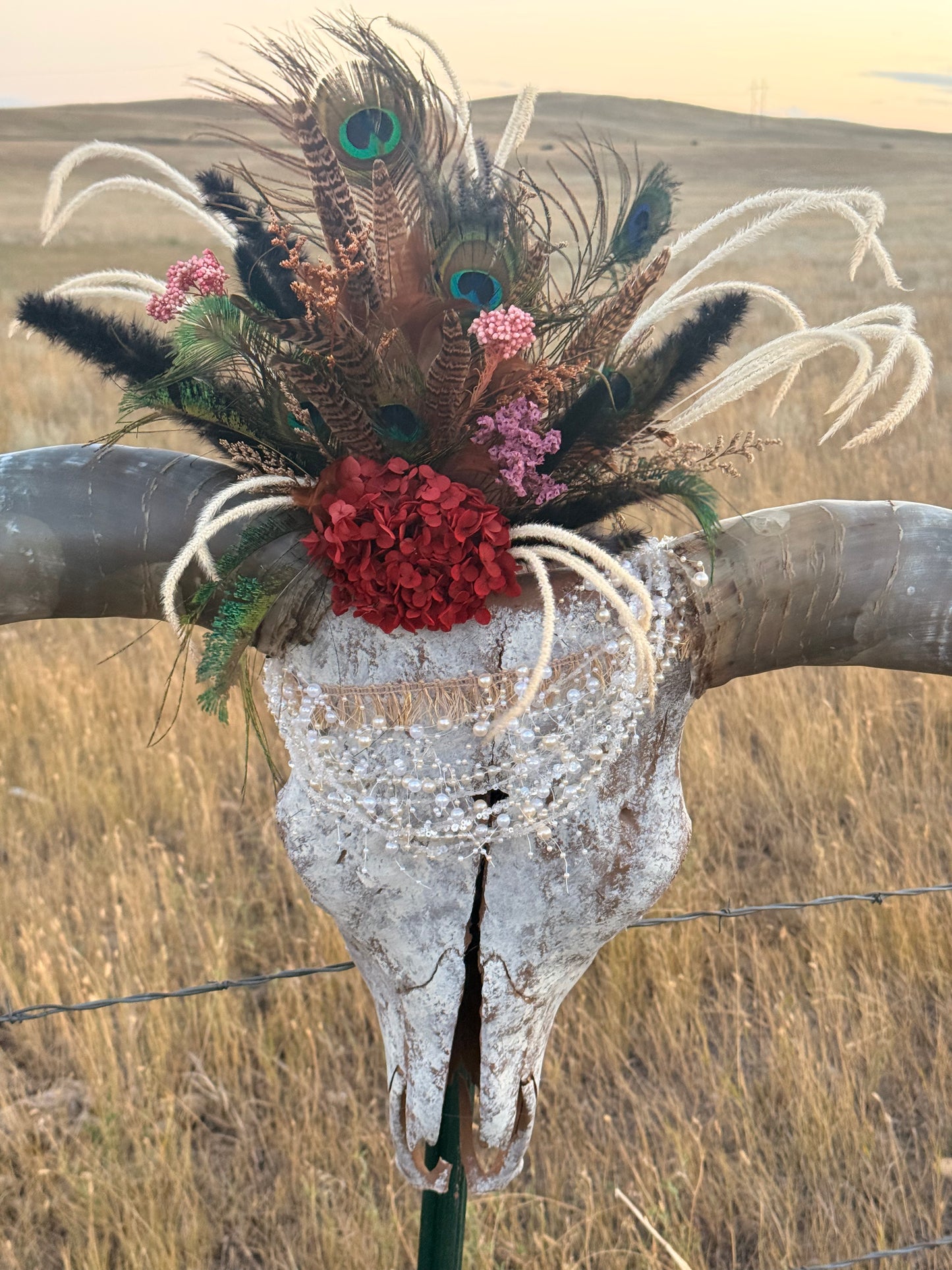 Decorated Longhorn Skull Wall Decor | Peacock Feather Cow Skull | Western Boho Wall Art | Rustic Ranch Decor | One of a Kind Skull