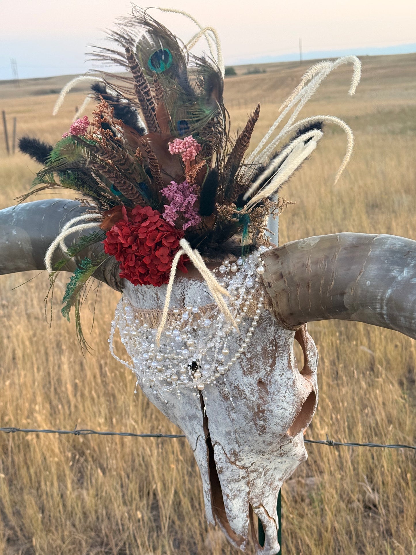 Decorated Longhorn Skull Wall Decor | Peacock Feather Cow Skull | Western Boho Wall Art | Rustic Ranch Decor | One of a Kind Skull