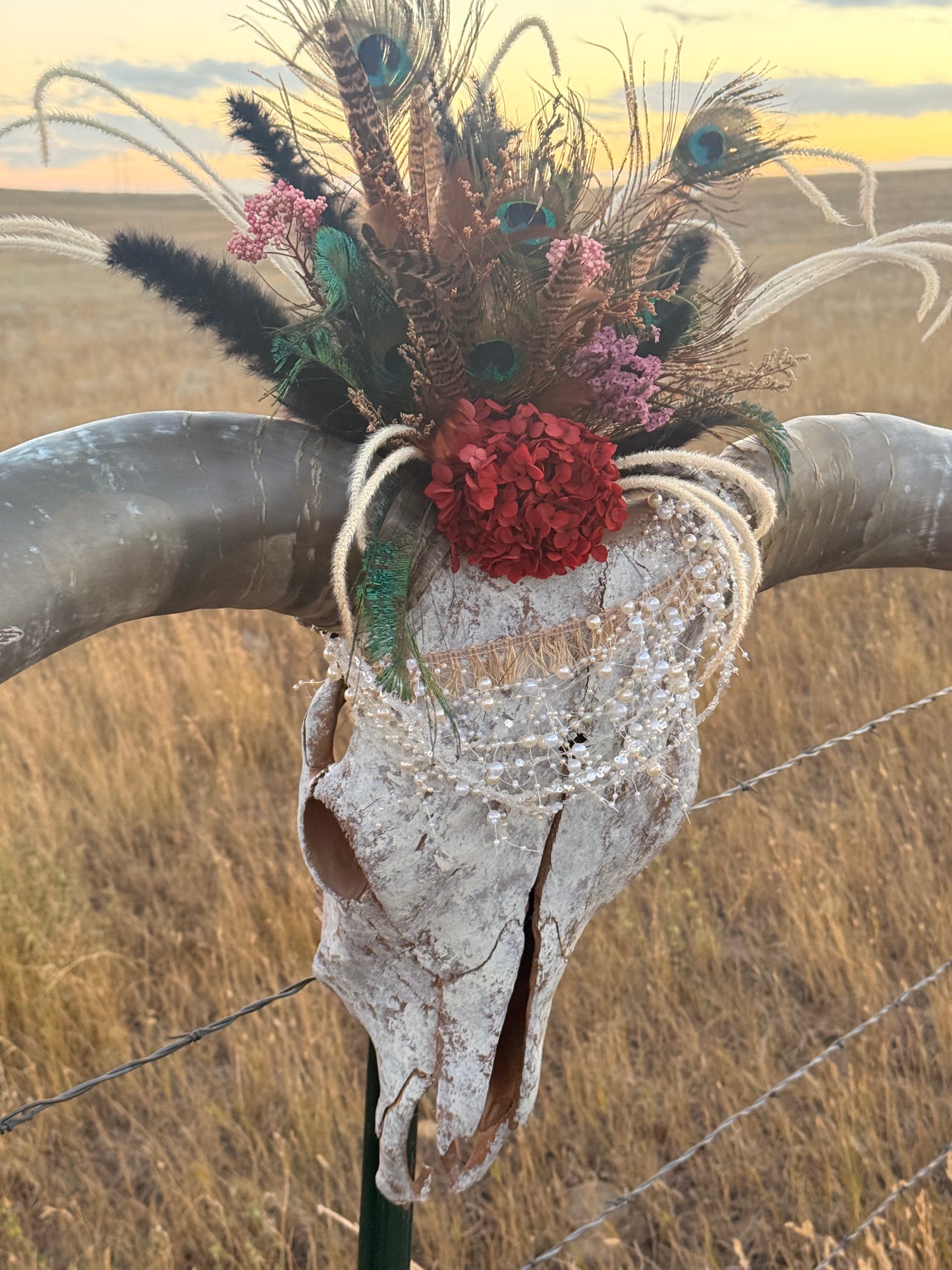 Decorated Longhorn Skull Wall Decor | Peacock Feather Cow Skull | Western Boho Wall Art | Rustic Ranch Decor | One of a Kind Skull