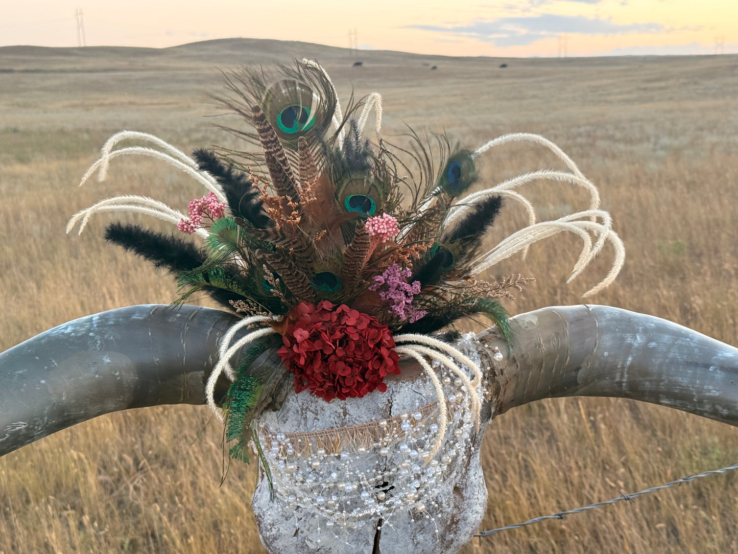 Decorated Longhorn Skull Wall Decor | Peacock Feather Cow Skull | Western Boho Wall Art | Rustic Ranch Decor | One of a Kind Skull