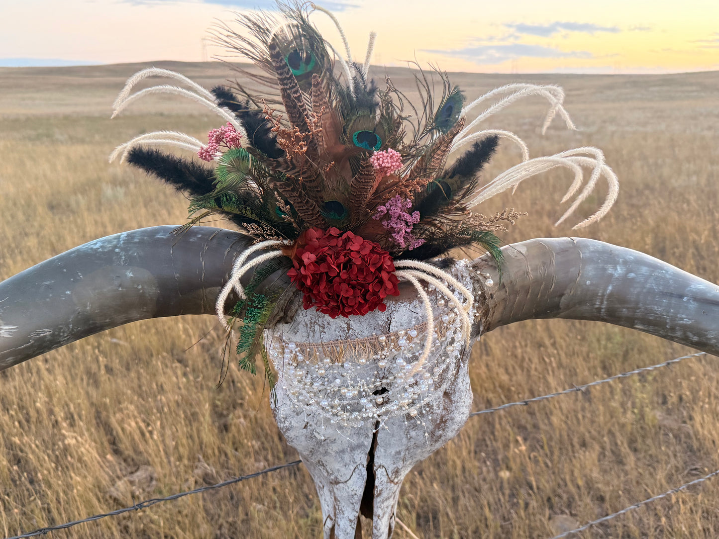 Decorated Longhorn Skull Wall Decor | Peacock Feather Cow Skull | Western Boho Wall Art | Rustic Ranch Decor | One of a Kind Skull