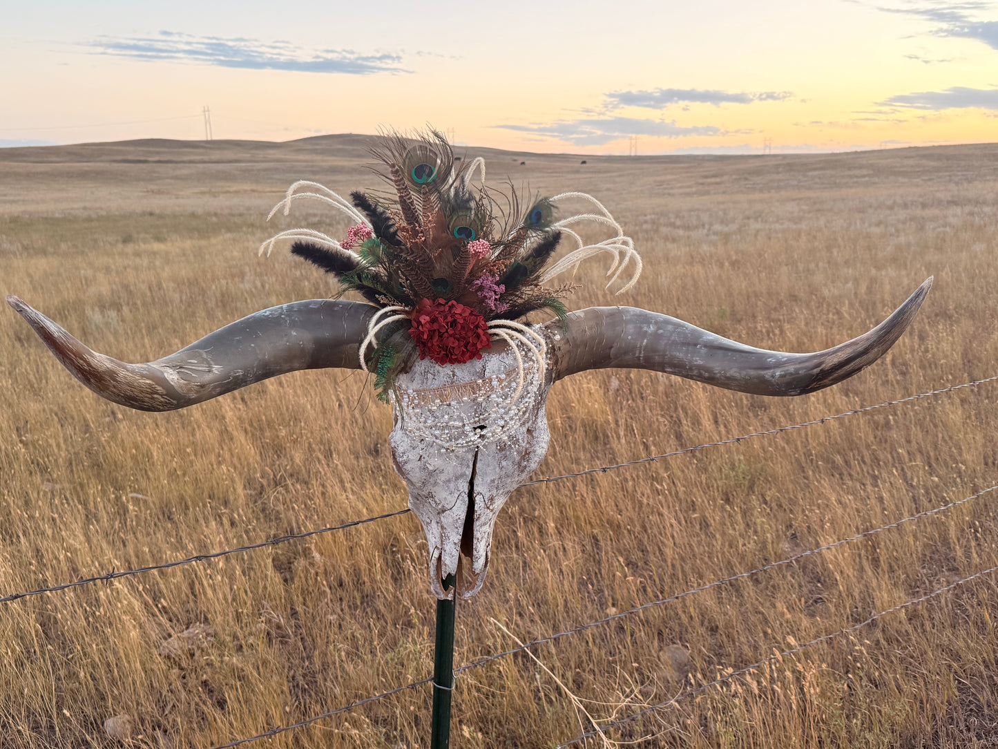 Decorated Longhorn Skull Wall Decor | Peacock Feather Cow Skull | Western Boho Wall Art | Rustic Ranch Decor | One of a Kind Skull